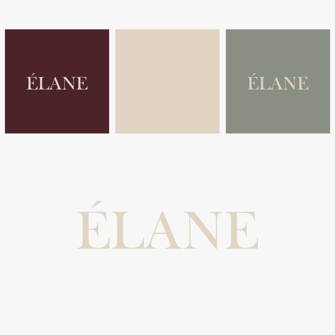 Final wordmark · Colour lockups